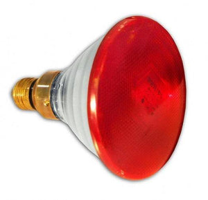 Replacement Bulb for Infrared Skin Care Lamp - PediSpa.com