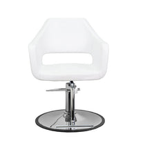 Richardson Hair Styling Chair, Heavy Duty Pump - PediSpa.com